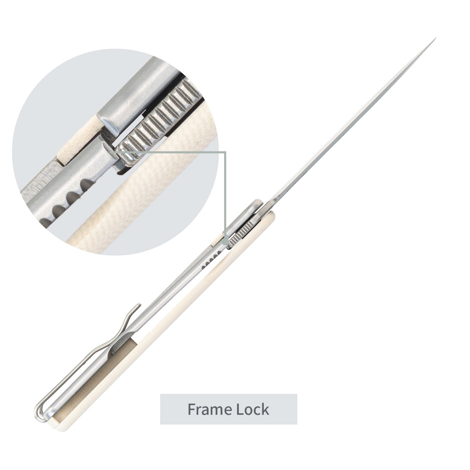 SRM EDC frame lock knife Palfrey 135L-GT | 14C28N steel blade and Ivory G10 handle